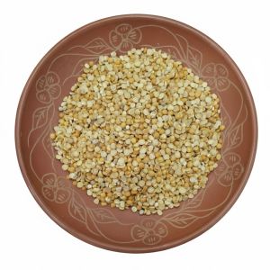 Anchor / এংকর ডাল