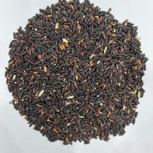 Black Rice / কালো চাল